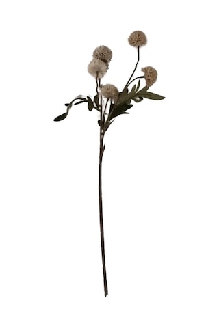 T.concept Yapay Yıldız Çiçeği Tek Dal Vizon 50 Cm