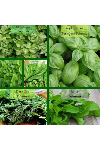 6 Paket Tohum No11 Yeşil Bitki Tohumları Salata Tohumları Nane Tohumu Ekşi Ot Roka Fesleğen Tohumu