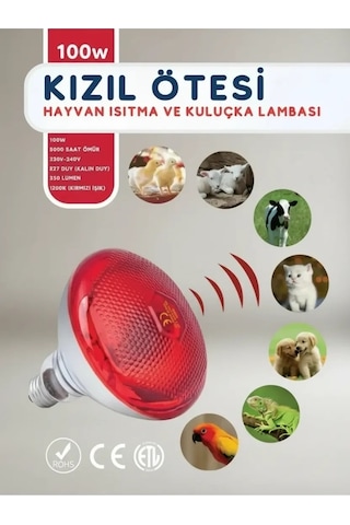 100w Kızılötesi Infrared Isıtıcılı Hayvan Isıtma Kuluçka Lambası Kırmızı Işık E27 Kalın Duy