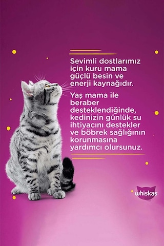 Whiskas Tavuklu Poşet Kedi Yaş Mama 85 G 12x