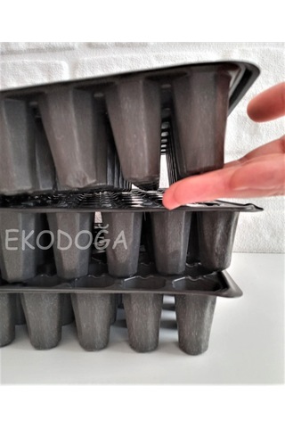 Fide Viyolü 10 Adet 104 Gözlü Fide Viyolleri Fide Viyol