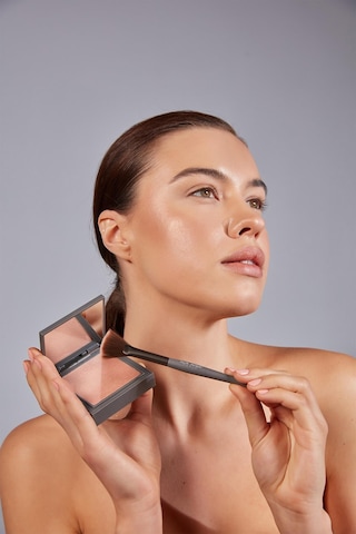 Alix Avien Aydınlatıcı Fırçası Fan Brush