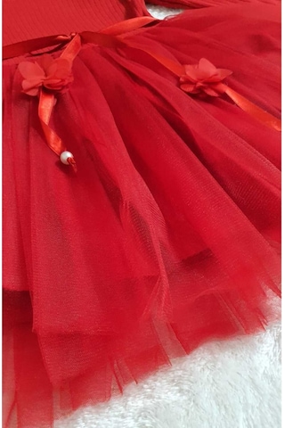 Kız Çocuk Özel Gün Doğum Günü Günlük Abiye Hediye Uzun Kollu Kırmızı Tül Detaylı Prenses Elbise Kırmızı