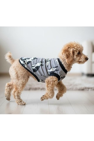Miniş Gri Köpekli Küçük Irk Köpek Penye T-shirt