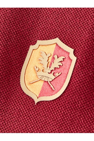 Gsstore Galatasaray Erkek T-shirt E252105 Bordo