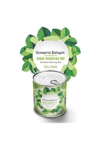 Buffer Konserve Bahçem Evde Konservede Sakız Kabak Yetiştirme Kiti Mavi