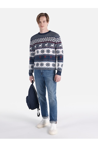 Colin's Colins Regular Fit Bisiklet Yaka Çok Renkli Erkek Kazak Cl1065736 Çok Renkli
