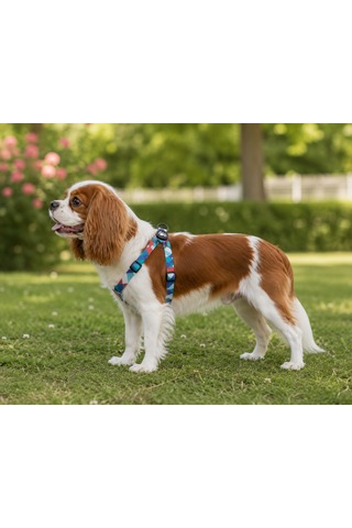 Ally Paws Geometrik Köpek Göğüs Tasması Göğüs: 30 Cm X 60 Cm Çok Renkli