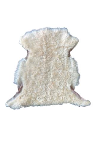 Gerçek Uzun Tüylü Koyun Postu Krem 70x50 Cm