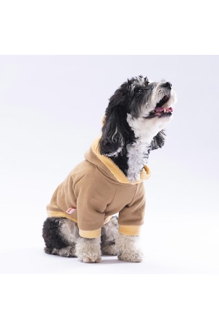 Grizzly Köpek Hoodie Köpek Sweat Köpek Kıyafeti Kedi Kıyafeti