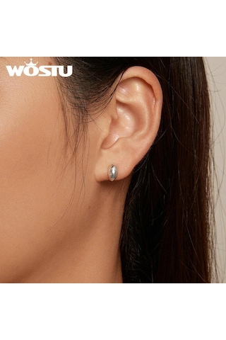 Gümüş Wostu 925 Ayar Gümüş Basit Ay Saplama Küpe Kadınlar Için Ins Tarzı Aerodinamik Kulak Sutds Pendientes Düğün Takısı 925 Ayar