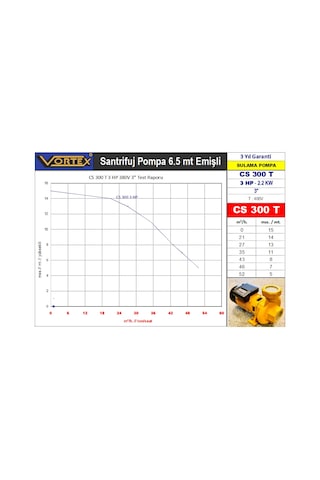 Vortex Cs 300 T 3 Hp 380V Sanayi 3"