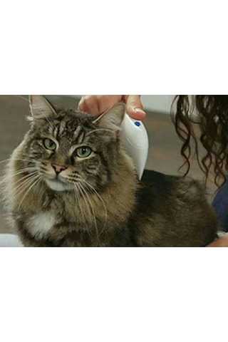 Kargo Flea Doctor Pet Hayvanlar İçin Haşere Öldürücü Pilli Pire Tarağı Najmaddin