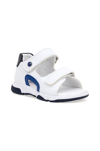 U.S. Polo Assn. Erkek Çocuk Beyaz Sandalet 50286828-VR013