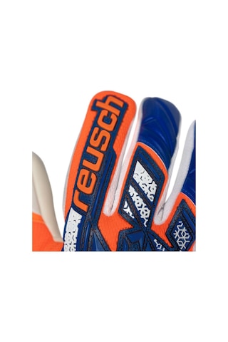 Reusch Attrakt Freegel Gold Nc Kaleci Eldiveni 5570135-2500 Çok Renkli