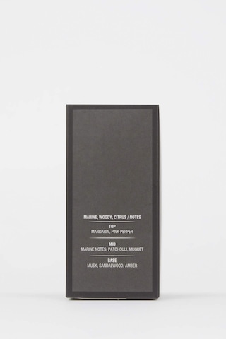 Defacto Erkek Silver Aromatik 100 ML Parfüm Y2391AZNSSR3