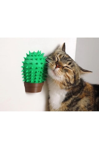 Kaktüs Kedi Kendi Kendini Tırmalama Aleti