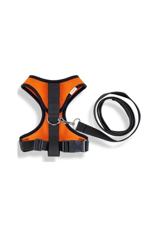 Air-mesh Kumaş Tasma Ve Tasma Kayışı Turuncu, X-small