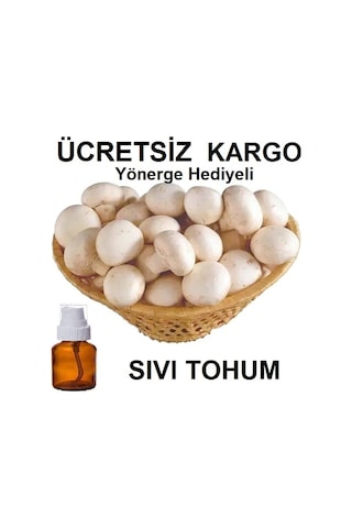 100 Ml Beyaz KüLür Mantarı Tohumu