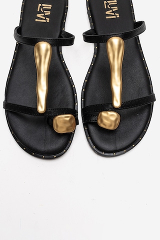 Luvishoes Tessa Siyah Hakiki Deri Gold Tokalı Kadın Parmak Arası Terlik