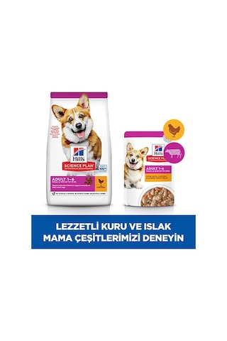 Hill's Science Plan Small & Mini Chicken Küçük Irk Tavuklu Yetişkin Köpek Maması 1500 G