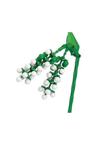 Ctoys Plant Series Florist Block Phytolacca Acinosa 8856 5