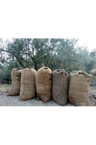 Zeytin Toplama Çuvalı 100 Kg Kapasiteli Renksiz