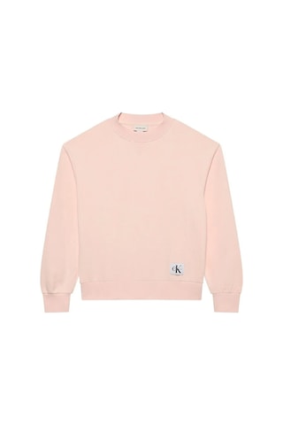 Calvin Klein Jeans Kadın Sweatshirt Lv047b238g Mıx