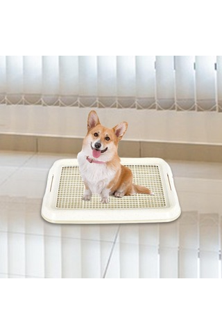 Homyl Köpek Lazımlık Tuvalet Kaymaz Çıkarılabilir Beyaz