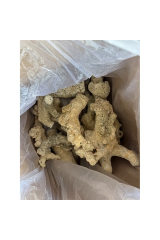 Zeochem - Coral Rock Doğal Mercan Fosil Kayası 10 Kg