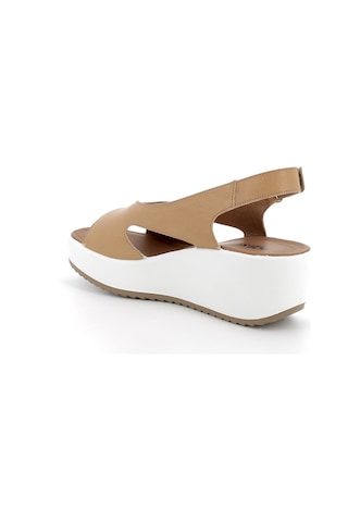 Sandalet Kadın Diğer 7666022 Igı&co Dcd 76660 Capra Tamponata Biscotto Biscotto Çok Renkli