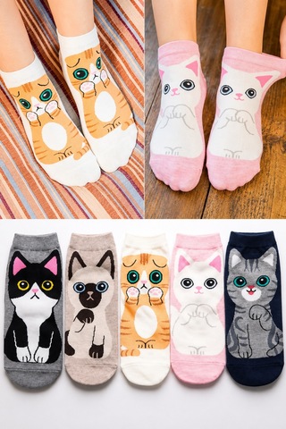 Worthy Socks 5'li Kedi Desenli Yüksek Kaliteli Renkli Patik Bilek Çorap