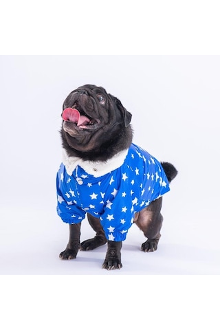 Pawstar Mavi Stars Yağmurluk Küçük Ve Orta Irk