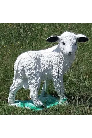 M3 Beyaz Koyun Yavrusu Süt Kuzu Iç Dış Mekan 50Cm Bahçe Oda Heykeli Beyaz