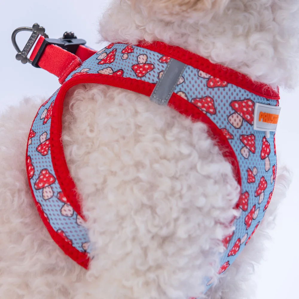 Mushroom Airmesh Kedi Köpek Göğüs Tasması Xl Kırmızı