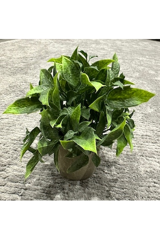 Dekoratif Eskitme Gri Saksıda Gerçekçi Yapay Yeşil Bitki - Modern Masa Ve Raf Çiçeği 24x18 Cm Yeşil