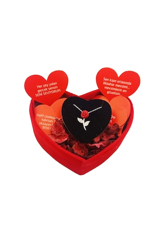 Pigado 925 Ayar Gümüş Kalpli Özel Kadife Kutusunda Gül Kolye Gümüş