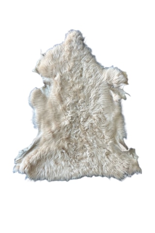 Gerçek Uzun Tüylü Koyun Postu Pudra 70x50 Cm