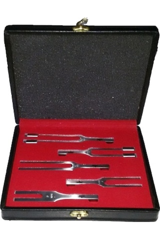 Diapozon Set Çelik 5 Parça Çantali