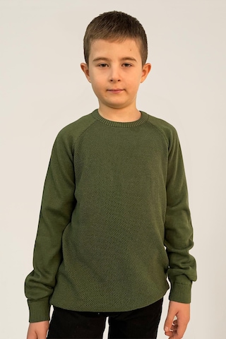 Alexandergardı Çocuk Pamuklu Triko Kazak C21-18937 Yeşil