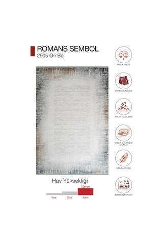 Romans Sembol 2905 Gri Bej Akrilik Modern Çerçeve Desenli