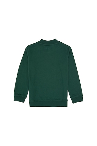 U.S. Polo Assn. Erkek Çocuk Koyu Yeşil Basic Bisiklet Yaka Sweatshirt 50314971-VR079