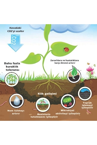 Prechar Meşe Odunu Bazlı Karbon Toprak Düzenleyici 16l Biochar 3mm Ve Altı 0