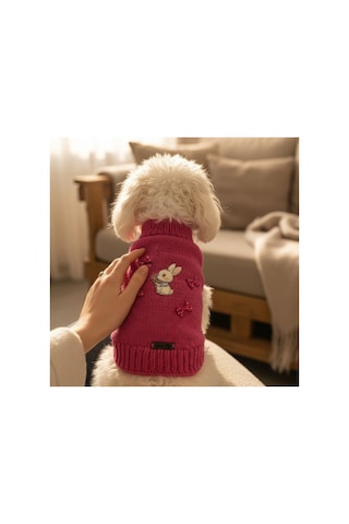 Kedi Ve Köpek İçin Tavşan Motifli Pembe Kazak