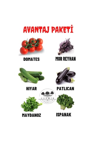 Domates ,mor Reyhan , Hıyar , Patlıcan , Maydanoz , Ispanak 60 Gr