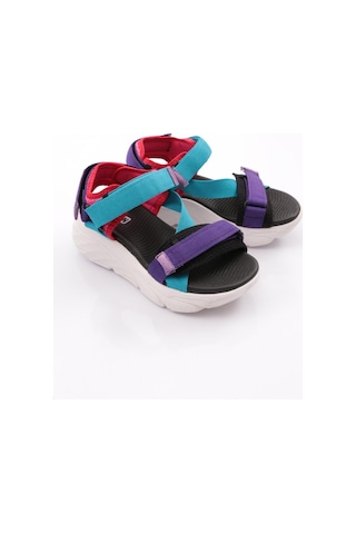 Dgn Ss0001-0178 Kadin Cirtli Sandalet Mavi Mor