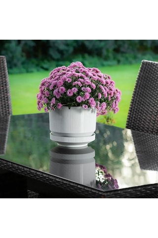 Serinova Lüks Çizgili Desenli Saksı 6 Lt 49806654