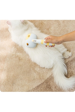 Raikou Kedi ve Köpek Tarağı Beyaz - Sarı