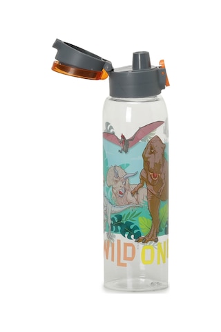 Polaris Bts Wıld Dıno Mtr 4pr Turuncu Erkek Çocuk Beslenme Kabı 000000000101922556 Turuncu