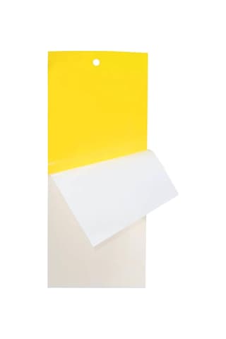 Grow Wizard Sarı Yapışkan Tuzak 10'lu Paket 10